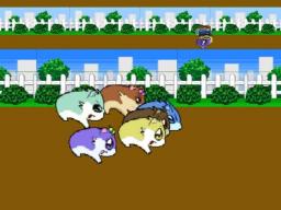 Hamster Monogatari 64 Screenthot 2